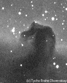 horse3.gif