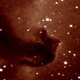 The horsehead nebula