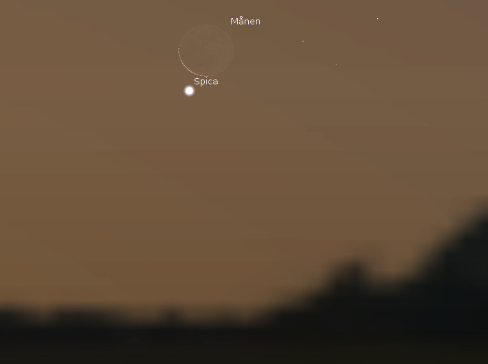 nov2013 LunaSpica